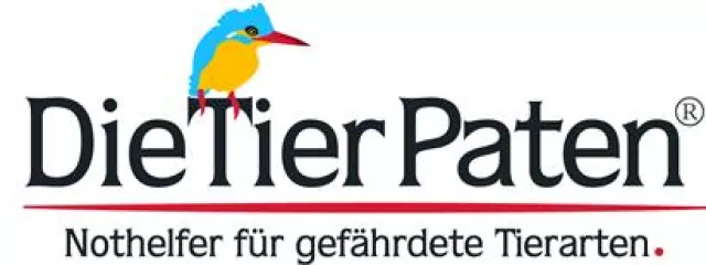 Bild: Der neue Artenschutzturm Firmenich mausert sich - Kreis Euskirchen, NRW