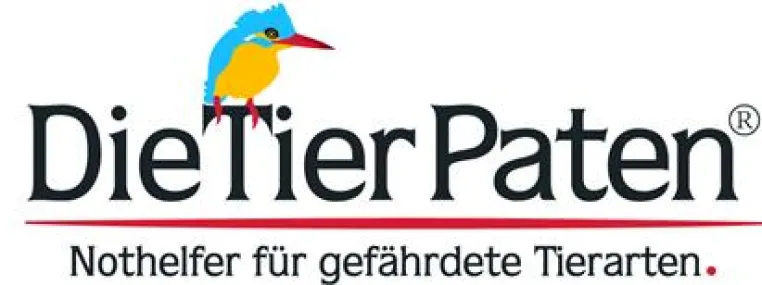 Bild: Der neue Artenschutzturm Firmenich mausert sich - Kreis Euskirchen, NRW