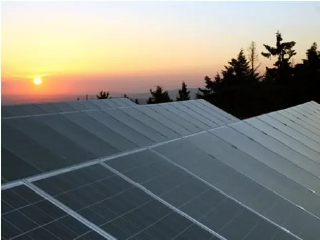 Bild: Steigende Strompreise - sind uns egal!