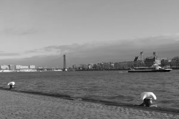 Bild: ALTE MEISTER IN ROTTERDAM - von BOSCH zu BRUEGEL