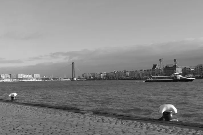 Bild: ALTE MEISTER IN ROTTERDAM - von BOSCH zu BRUEGEL