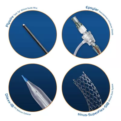 Bild: Ganzheitliches Stent-System für den transradialen / transbrachialen Zugangsweg