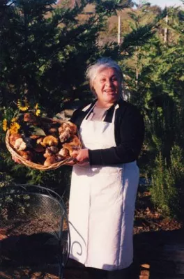 Bild: Öl, Wein und Trüffel. Kulinarische Wanderungen im Herbst in Umbrien, Geheimtipp für Genießer
