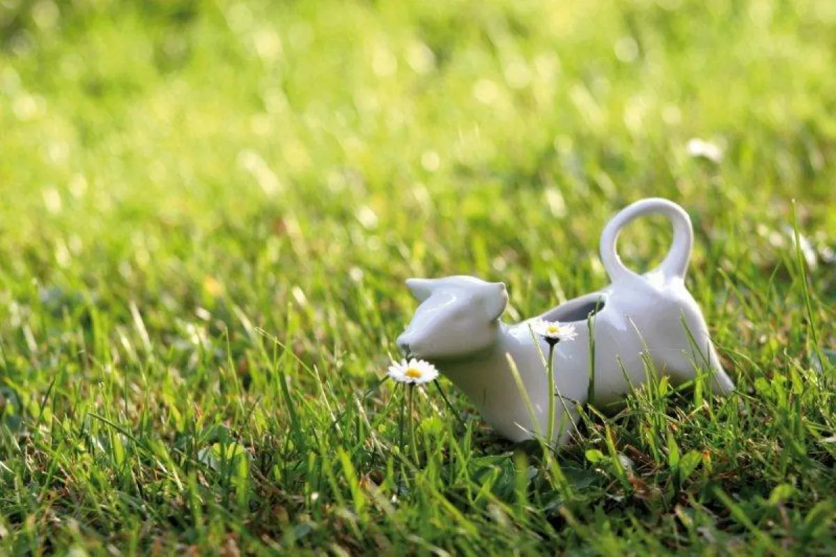 Nachhaltig und ökologisch als eines der ersten Unternehmen der Branche