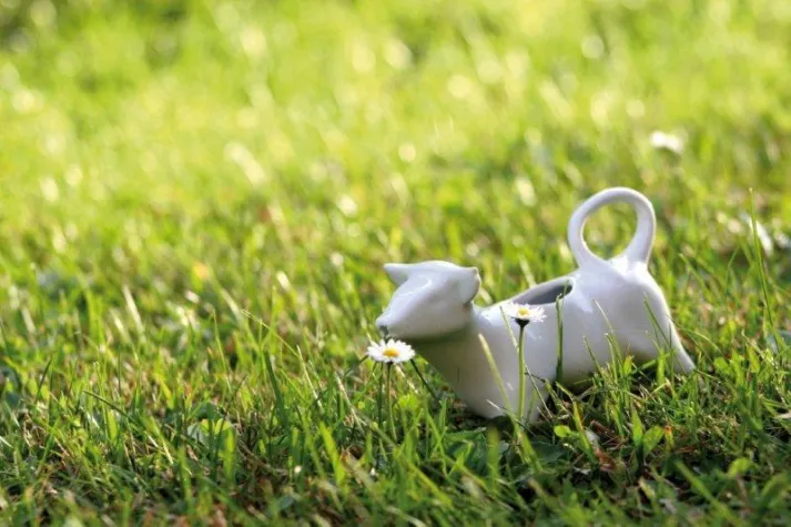 Bild: PILLIVUYT - „Grünes Porzellan“