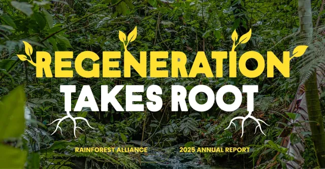 Bild: Rainforest Alliance veröffentlicht Jahresbericht 2025 – Organisation legt Zahlen zu Fortschritten vor Ort vor