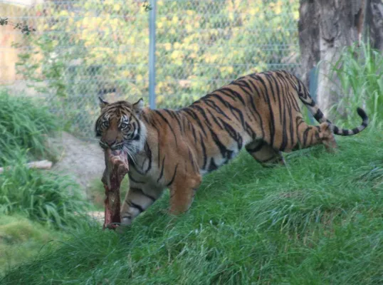 Bild: Pressearbeit für KMUs – gezielt informieren, statt breit streuen