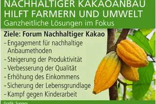 Bild: Nachhaltiger Kakaoanbau hilft Farmern und Umwelt