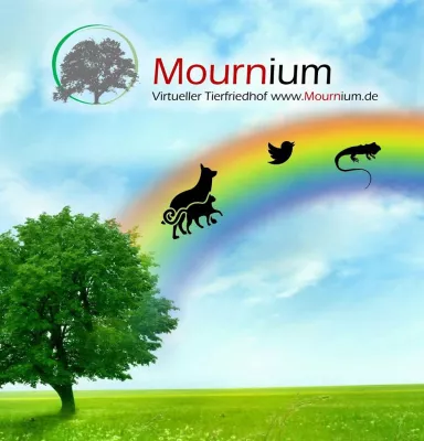 Bild: Virtueller Tierfriedhof Mournium wird 7 Jahre mit 14,3 Millionen Gedenkkerzen