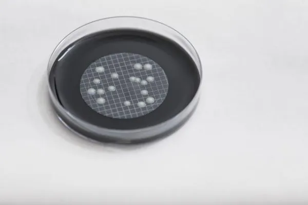 Bild: Vorarlberg führt Legionellen-Statistik an