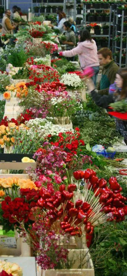 Valentins, einer der größten deutschen Online-Shops für Blumen und personalisierte Geschenke, setzt auf Selligent Interactive Mark