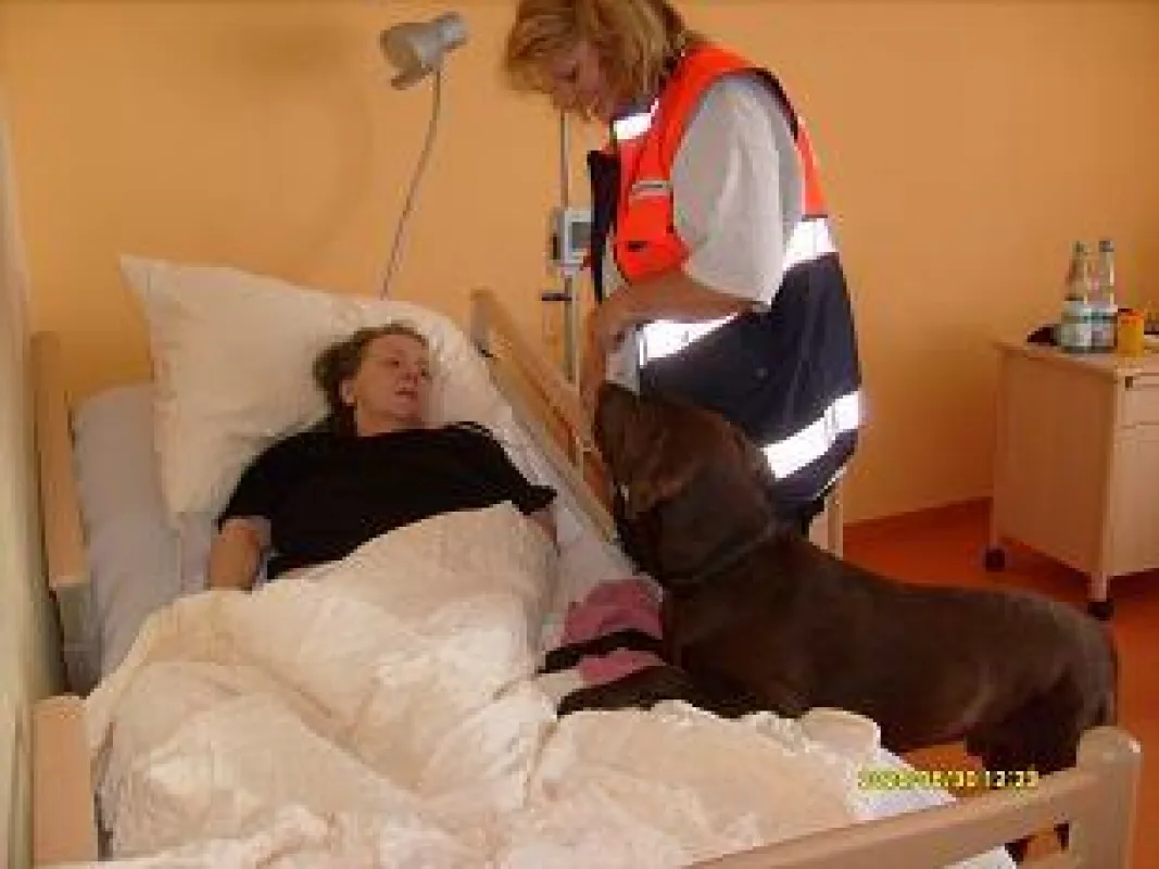 Hundetherapie auch mit bettlägerigen Senioren möglich