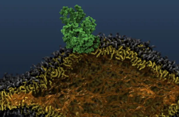 Bild: Uni Osnabrück: Startschuss für neues Projekt zu Erforschung von Fettmolekülen