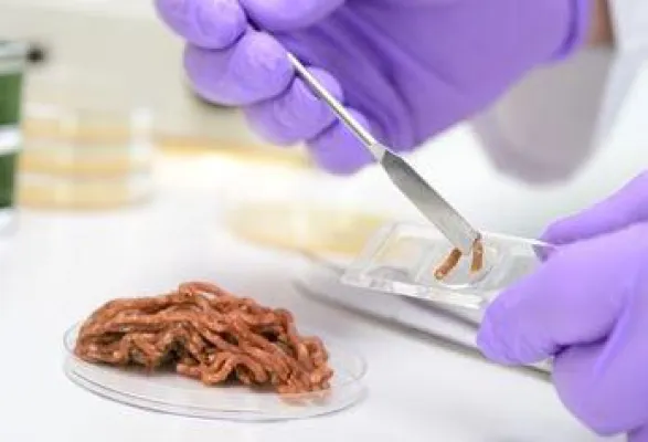 Bild: HICARE-Fokus "Lebensmittelhygiene"