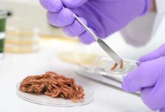 HICARE-Fokus "Lebensmittelhygiene" Bild: HICARE-Fokus "Lebensmittelhygiene"