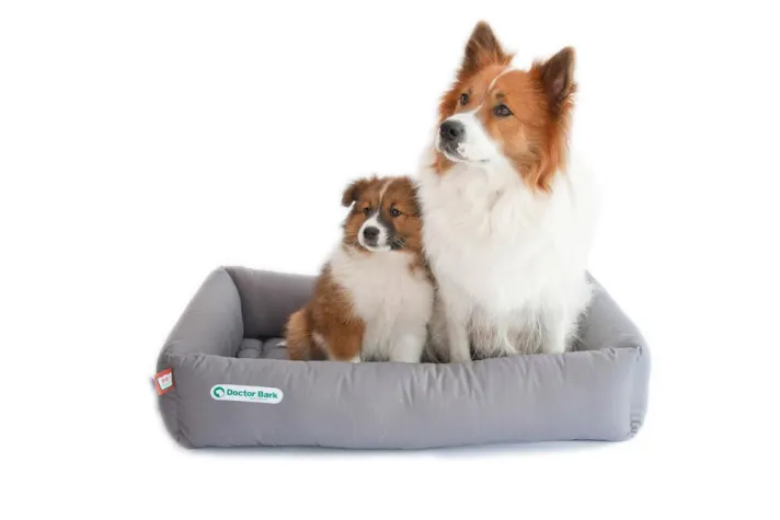 Bild: Doctor Bark erweitert Händlernetz in Deutschland und Österreich