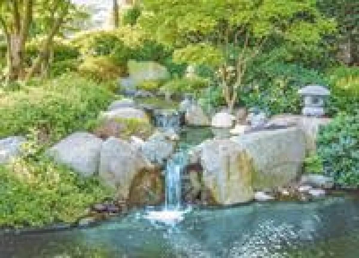 Um einen Bachlauf optimal zu betreiben, wird eine geeignete Pumpe benötigt. Foto: sera GmbH