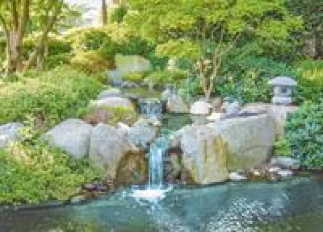 Bild: Ruhe und Leben im Garten