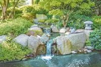 Bild: Ruhe und Leben im Garten