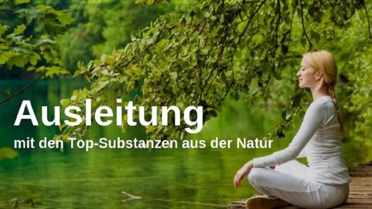 Bild: Ausscheidung von Schadstoffen optimieren