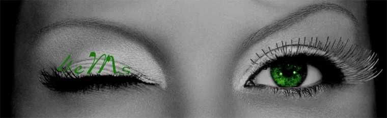 Bild: Unternehmensberater bauen Videokonferenzen aus