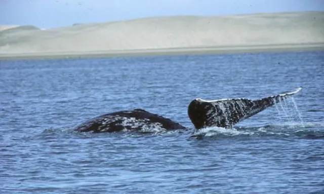 Bild: Beste Zeit für Mexiko Rundreisen ist der europäische Winter