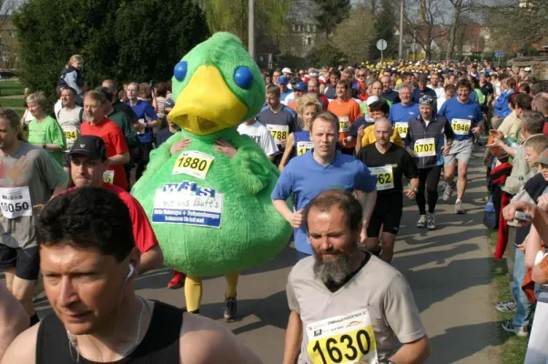 Bild: Der Kampf um die Gurke kann beginnen-6.RUNDSCHAU-Spreewaldmarathon erwartet Sportler aus Deutschland & Europa