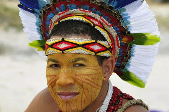 Bild: Fotokalender 2014 - Wildes Amazonien