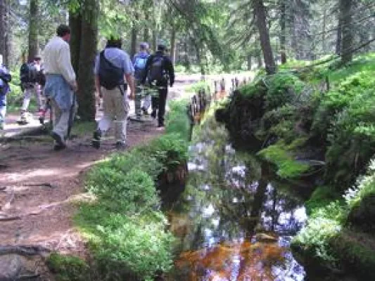 Wanderurlaub 2010 im Nationalpark Harz . Das Hotel Altes Forsthaus Braunlage empfiehlt Wandern mit Rangern. Bild: Wanderurlaub 2010 im Nationalpark Harz . Das Hotel Altes Forsthaus Braunlage empfiehlt Wandern mit Rangern.