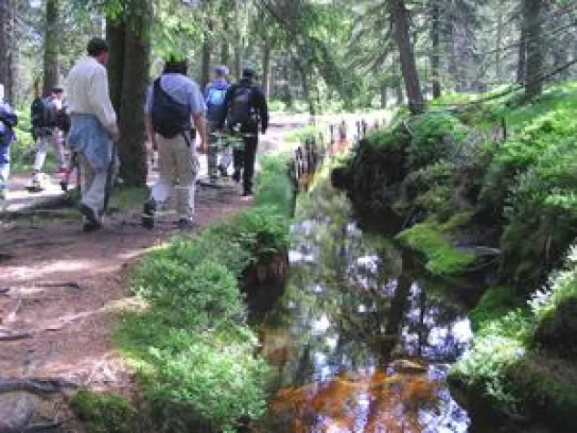 Bild: Wanderurlaub 2010 im Nationalpark Harz . Das Hotel Altes Forsthaus Braunlage empfiehlt Wandern mit Rangern.