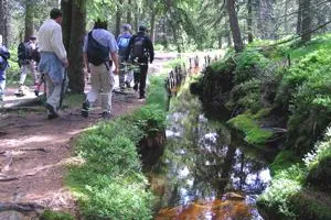 Bild: Wanderurlaub 2010 im Nationalpark Harz . Das Hotel Altes Forsthaus Braunlage empfiehlt Wandern mit Rangern.