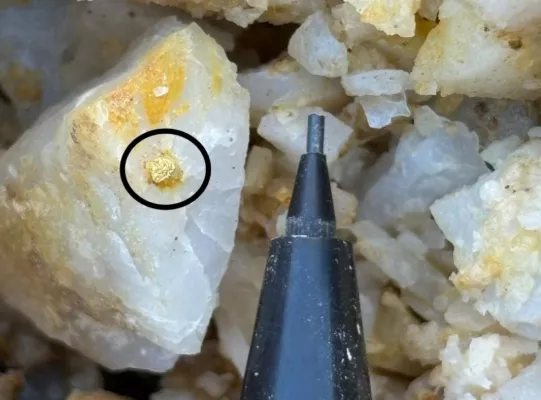 Bild: Golden Cariboo schließt Vorbereitungen für Bohrprogramm 2025 ab