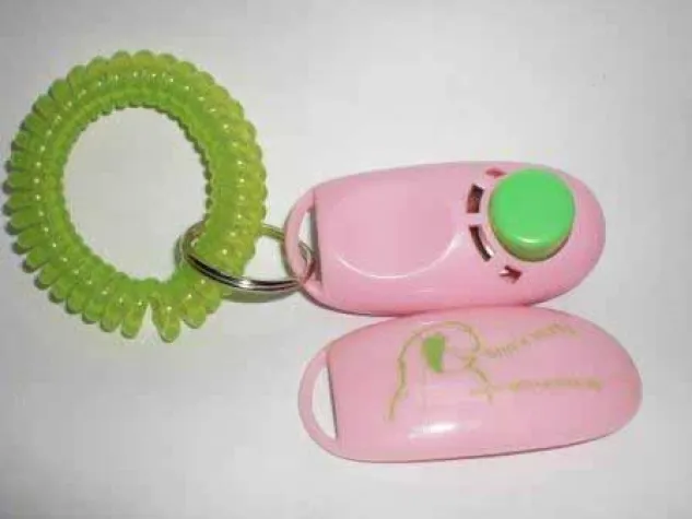 Bild: Clickertraining für Papageien, Sittiche und andere Vögel