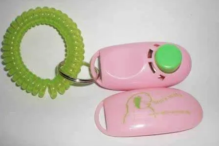 Bild: Clickertraining für Papageien, Sittiche und andere Vögel