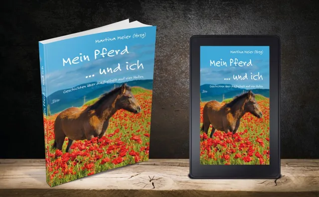 Bild: Mein Pferd und ich