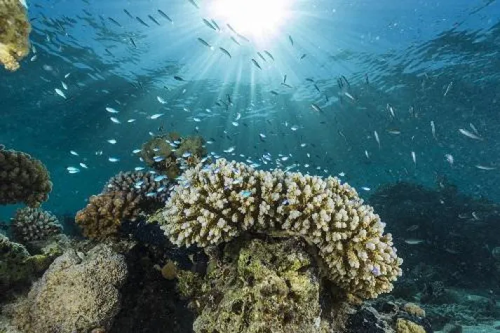 Bild: Wo Naturschutz und Tourismus zusammengehören