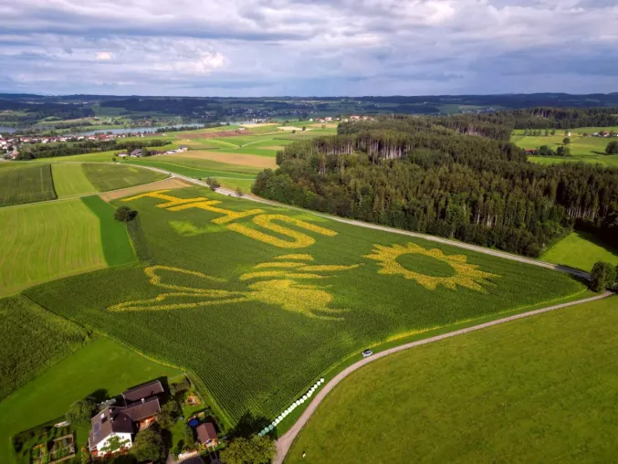Bild: Green-OOH: Standards und SDG-Ziele