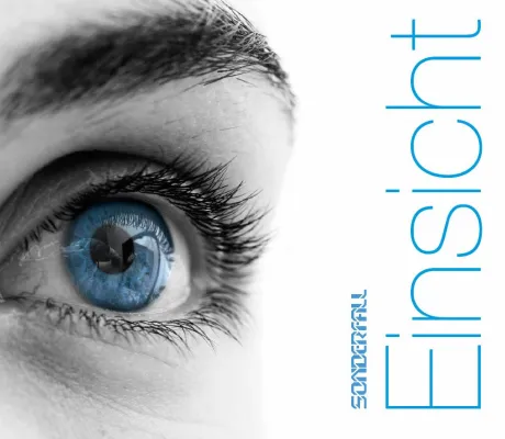 Das erfolgreiche Pop-Projekt SONDERFALL mit neuer Single "Einsicht" Bild: Das erfolgreiche Pop-Projekt SONDERFALL mit neuer Single "Einsicht"