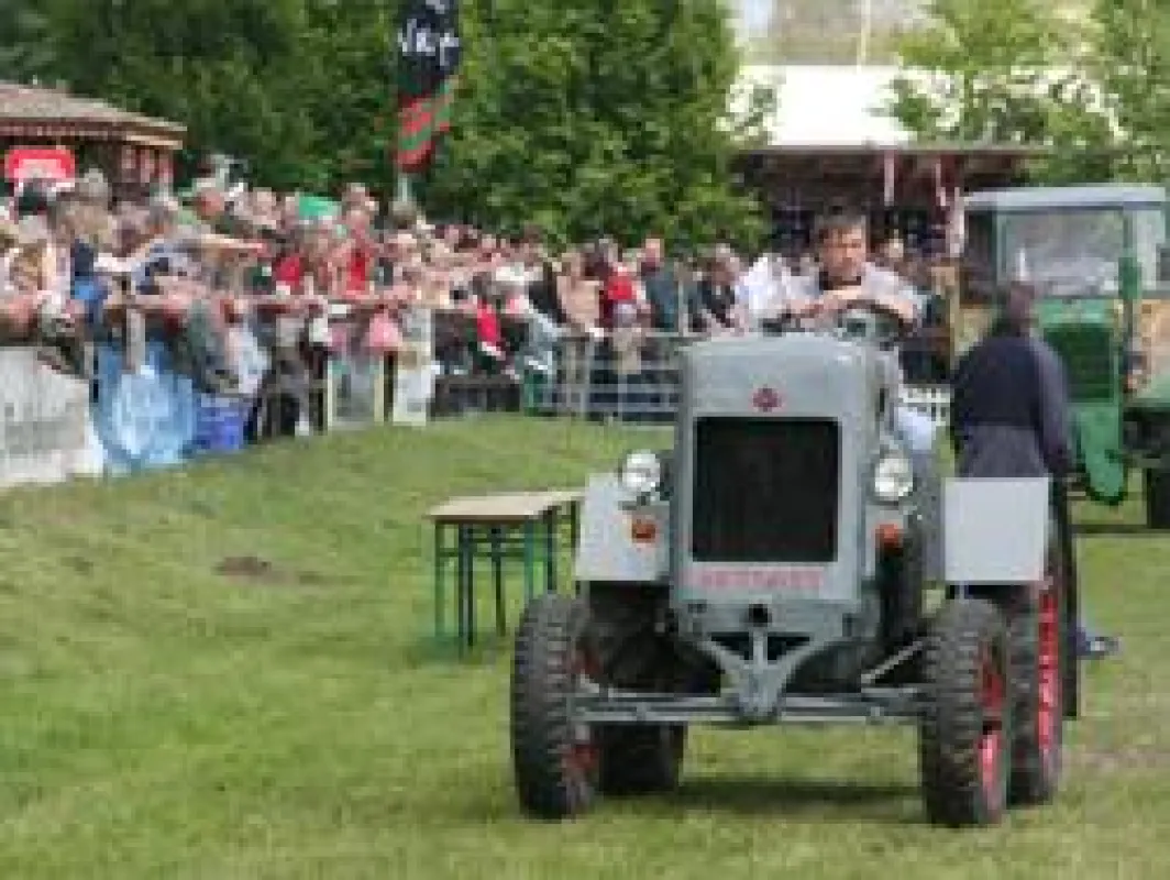 Schauvorführung mit Oldtimer-Traktoren.