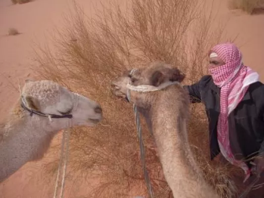 Bild: Neu bei art of travel - individuelle Reisen in das Land am Jordan