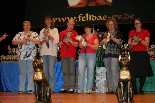 Bild: Internationale Rassekatzenausstellung am 24. und 25. Juli 2010 in Tostedt