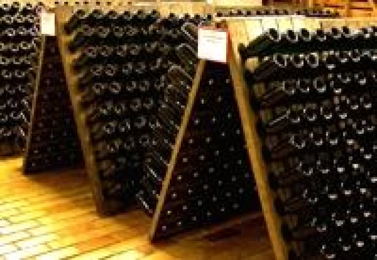 Offene Weinkeller im Saale-Unstrut-Tal