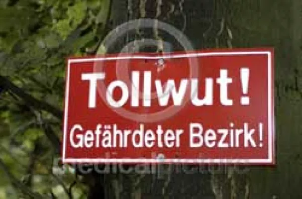 Bild: Der tödliche Biss - die Tollwut im medicalpicture Bildarchiv