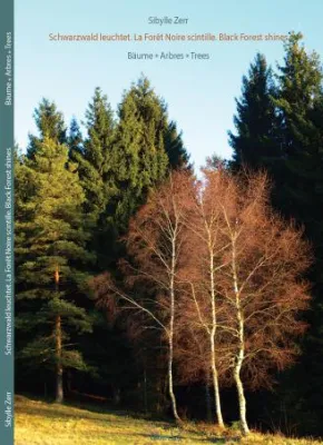 Bild: Schwarzwald leuchtet. La Forêt Noire scintille. Black Forest shines