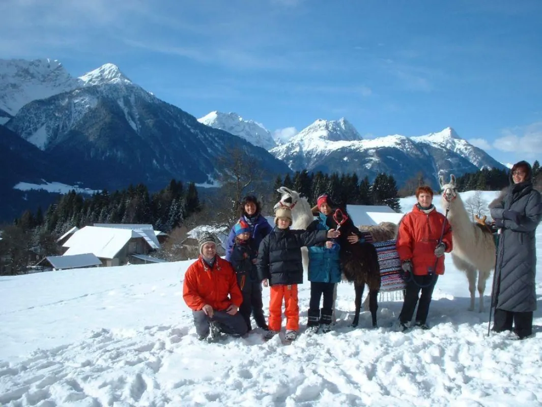 Lamatrekking