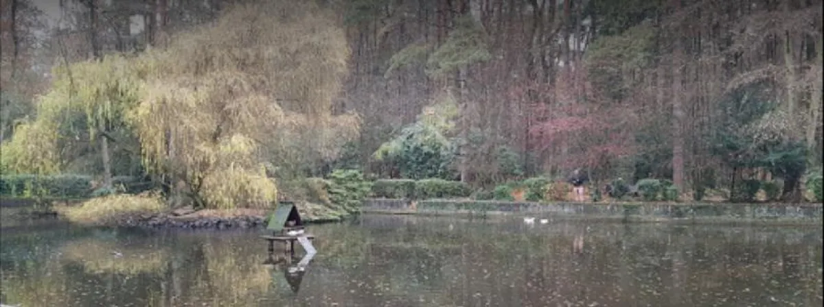 See im Wald- und Vogelpark Troisdorf