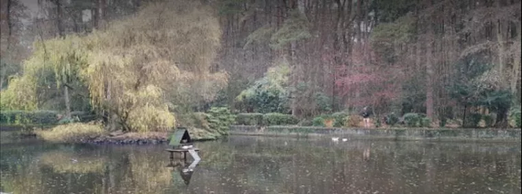 Bild: EMIKO behandelt See in Troisdorfer Wald- und Vogelpark