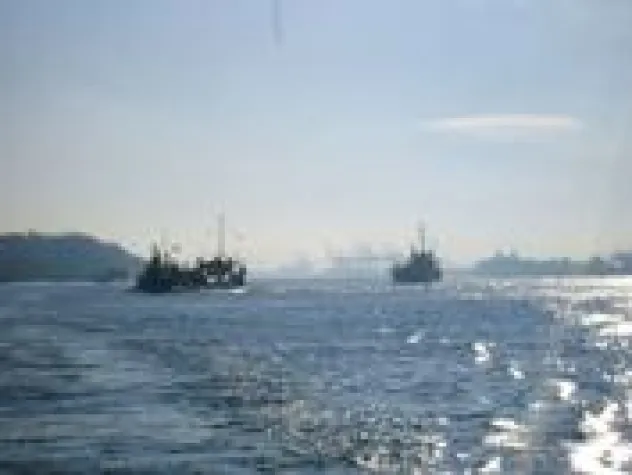 Bild: Sommer in der "Schönsten Stadt der Welt"