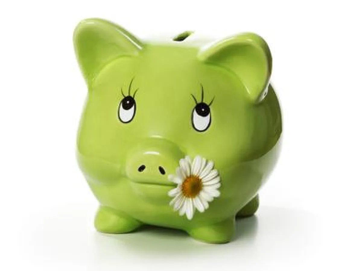 die neue grüne Rente investiert in ökologisch-ethische Projekte