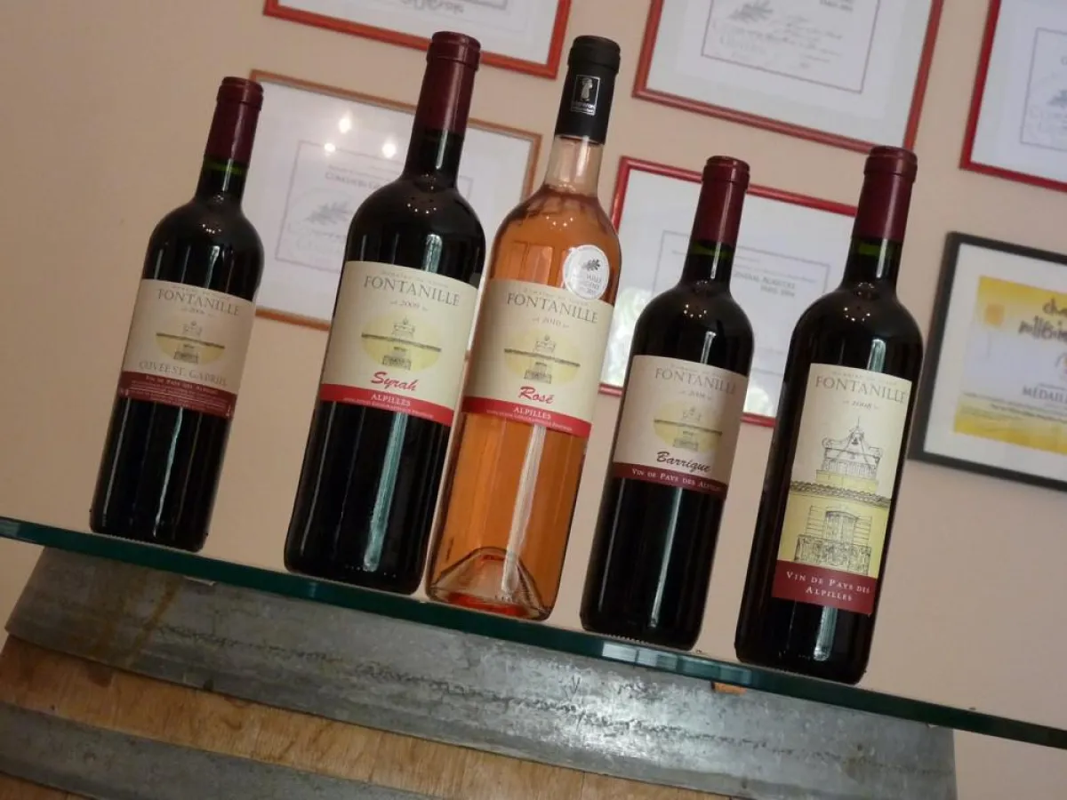 Weinprobe auf der Domaine du Grand Fontanille